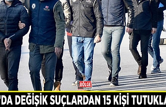 Van’da değişik suçlardan 15 kişi tutuklandı