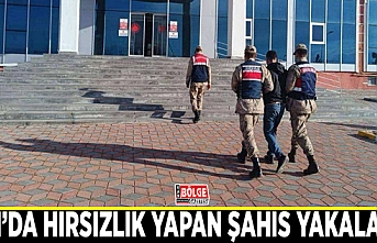 Van’da hırsızlık yapan şahıs yakalandı