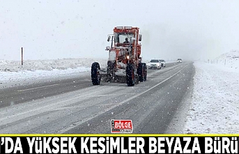 Van’da yüksek kesimler beyaza büründü