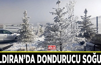 Çaldıran’da dondurucu soğuk…