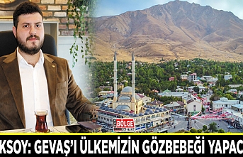 Sadıksoy: Gevaş'ı ülkemizin gözbebeği yapacağız