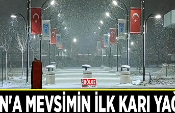 Van'a mevsimin ilk karı yağdı