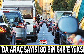 Van'da araç sayısı 80 bin 848'e yükseldi