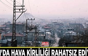 Van'da hava kirliliği rahatsız ediyor