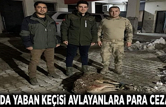 Van'da yaban keçisi avlayanlara para cezası...