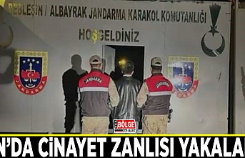 Van’da cinayet zanlısı yakalandı