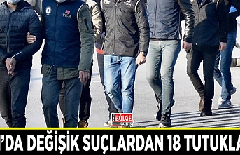 Van’da değişik suçlardan 18 tutuklama