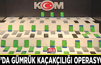 Van’da gümrük kaçakçılığı operasyonu