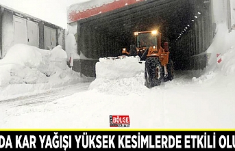 Van’da kar yağışı yüksek kesimlerde etkili oluyor