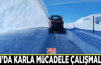 Van’da karla mücadele çalışmaları