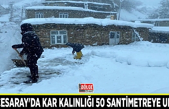 Bahçesaray'da kar kalınlığı 50 santimetreye ulaştı