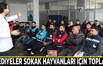 Belediyeler sokak hayvanları için toplandı