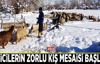 Besicilerin zorlu kış mesaisi başladı