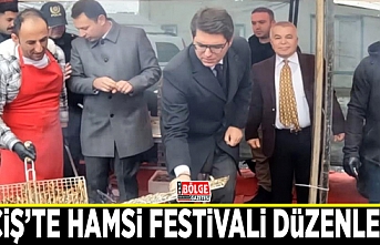 Erciş’te hamsi festivali düzenlendi