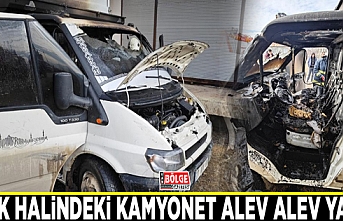 Park halindeki kamyonet alev alev yandı