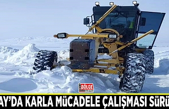 Saray’da karla mücadele çalışması devam ediyor