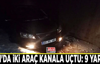 Van'da iki araç kanala uçtu: 9 yaralı