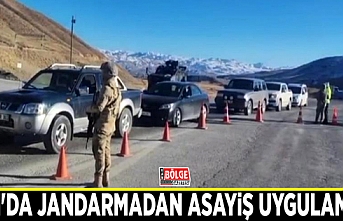 Van'da jandarmadan asayiş uygulaması