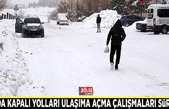 Van'da kapalı yolları ulaşıma açma çalışmaları sürüyor