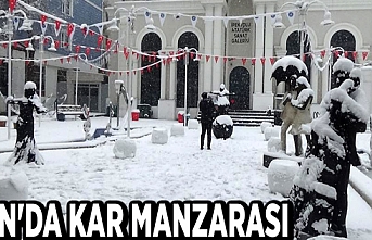 Van'da kar manzarası