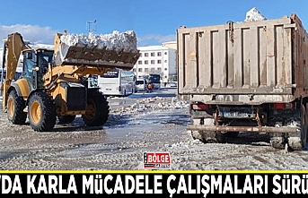 Van'da karla mücadele çalışmaları sürüyor