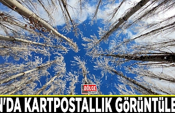 Van'da kartpostallık görüntüler...