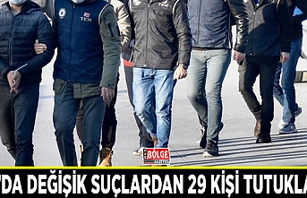 Van’da değişik suçlardan 29 kişi tutuklandı