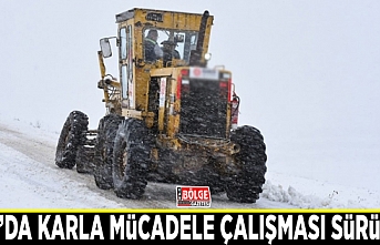 Van’da karla mücadele çalışması sürüyor