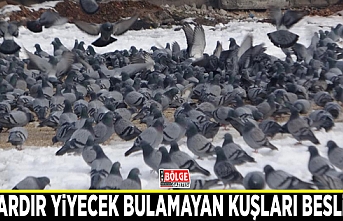 Yıllardır yiyecek bulamayan kuşları besliyor