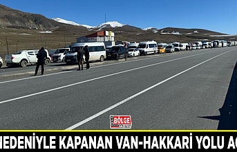 Çığ nedeniyle kapanan Van-Hakkari yolu açıldı