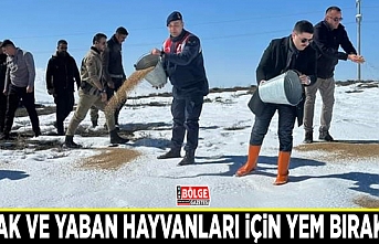 Sokak ve yaban hayvanları için yem bırakıldı