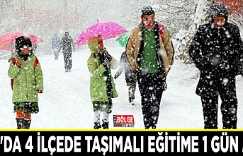 Van'da 4 ilçede taşımalı eğitime 1 gün ara