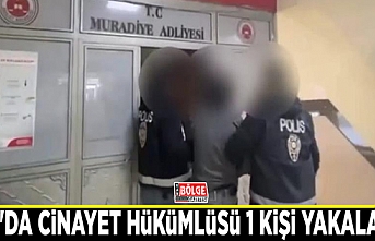 Van'da cinayet hükümlüsü 1 kişi yakalandı