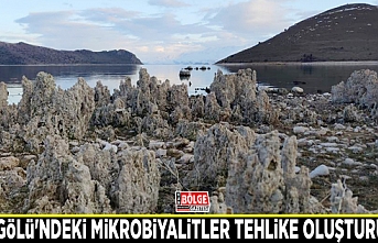 Van Gölü'ndeki mikrobiyalitler tehlike oluşturuyor