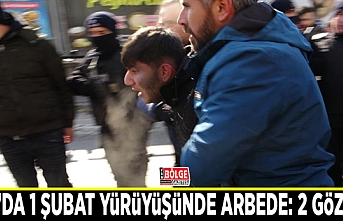 Van’da 1 Şubat yürüyüşünde arbede: 2 gözaltı