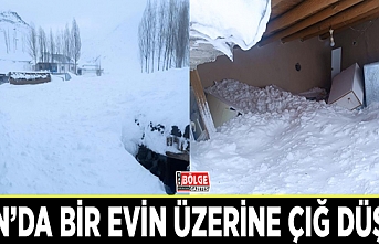 Van’da bir evin üzerine çığ düştü