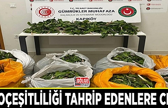 Biyoçeşitliliği tahrip edenlere ceza