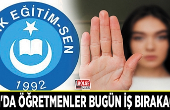 Van'da öğretmenler bugün iş bırakacak