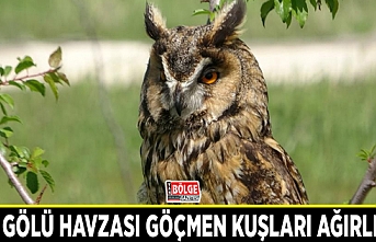 Van Gölü Havzası göçmen kuşları ağırlıyor