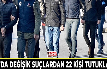 Van’da değişik suçlardan 22 kişi tutuklandı