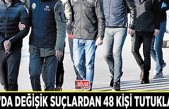 Van’da değişik suçlardan 48 kişi tutuklandı