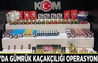 Van’da gümrük kaçakçılığı operasyonları