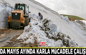 Van’da Mayıs ayında karla mücadele çalışması