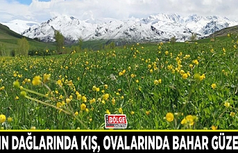 Van’ın dağlarında kış, ovalarında bahar güzelliği