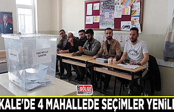 Başkale'de 4 mahallede seçimler yenilendi