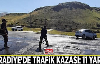 Muradiye'de trafik kazası: 11 yaralı