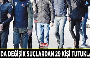 Van'da değişik suçlardan 29 kişi tutuklandı