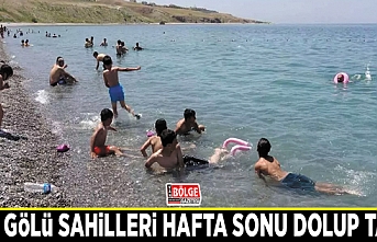 Van Gölü sahilleri hafta sonu dolup taştı