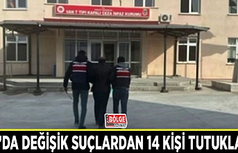 Van’da değişik suçlardan 14 kişi tutuklandı