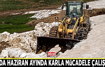 Van’da Haziran ayında karla mücadele çalışması